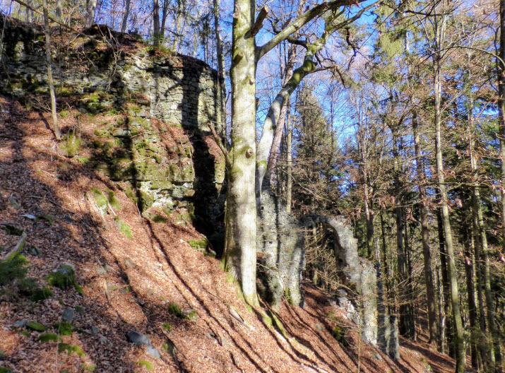 Burg Karlsberg (Kärnten), Sankt Veit an der Glan, Austria, Austria